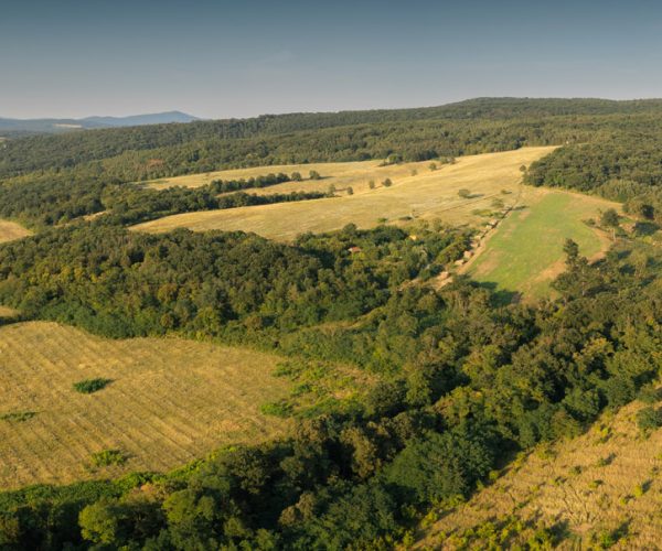 DJI_0162-Pano