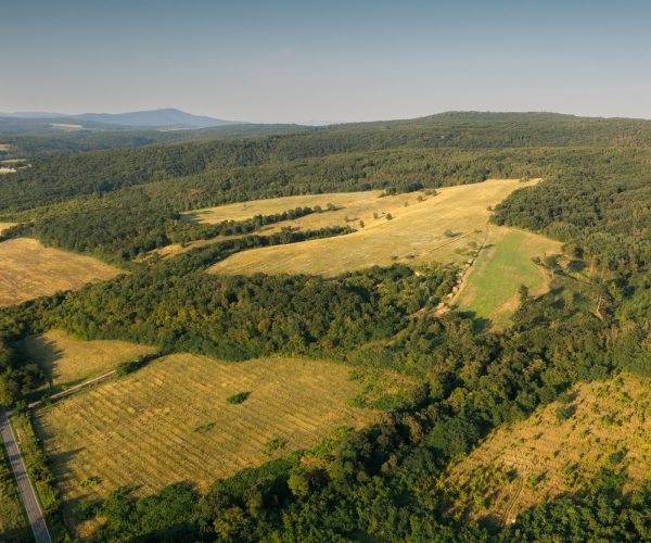 DJI_0175-Pano