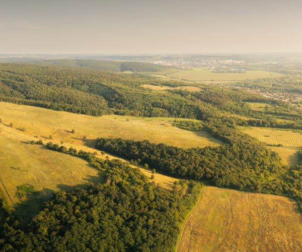 DJI_0203-Pano