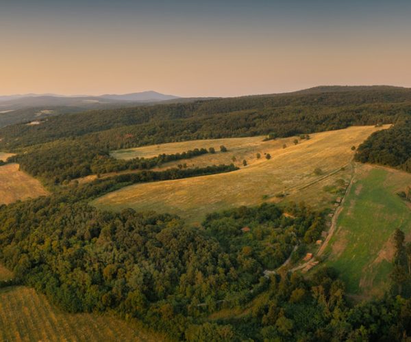 DJI_0239-Pano