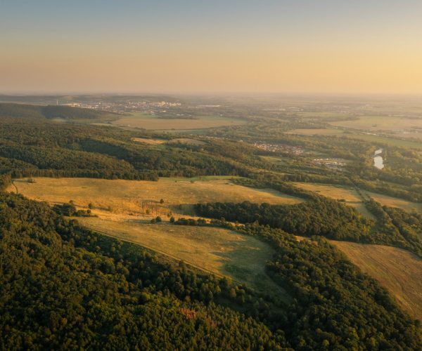 DJI_0334