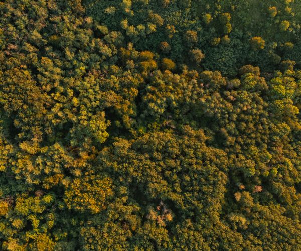 DJI_0341